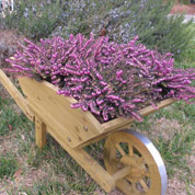 Decorative Wooden Wheelbarrow XL